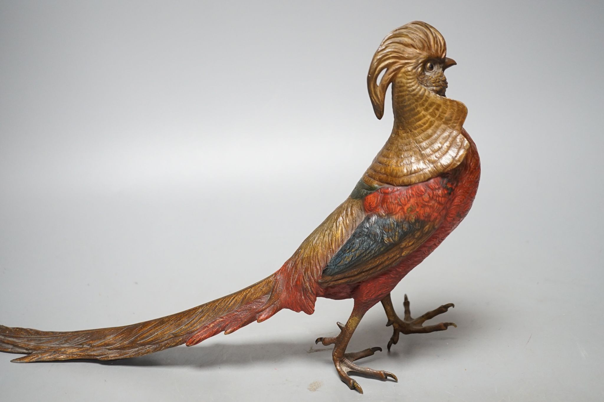 A cold painted bronze golden pheasant in style of Bergman 37cm